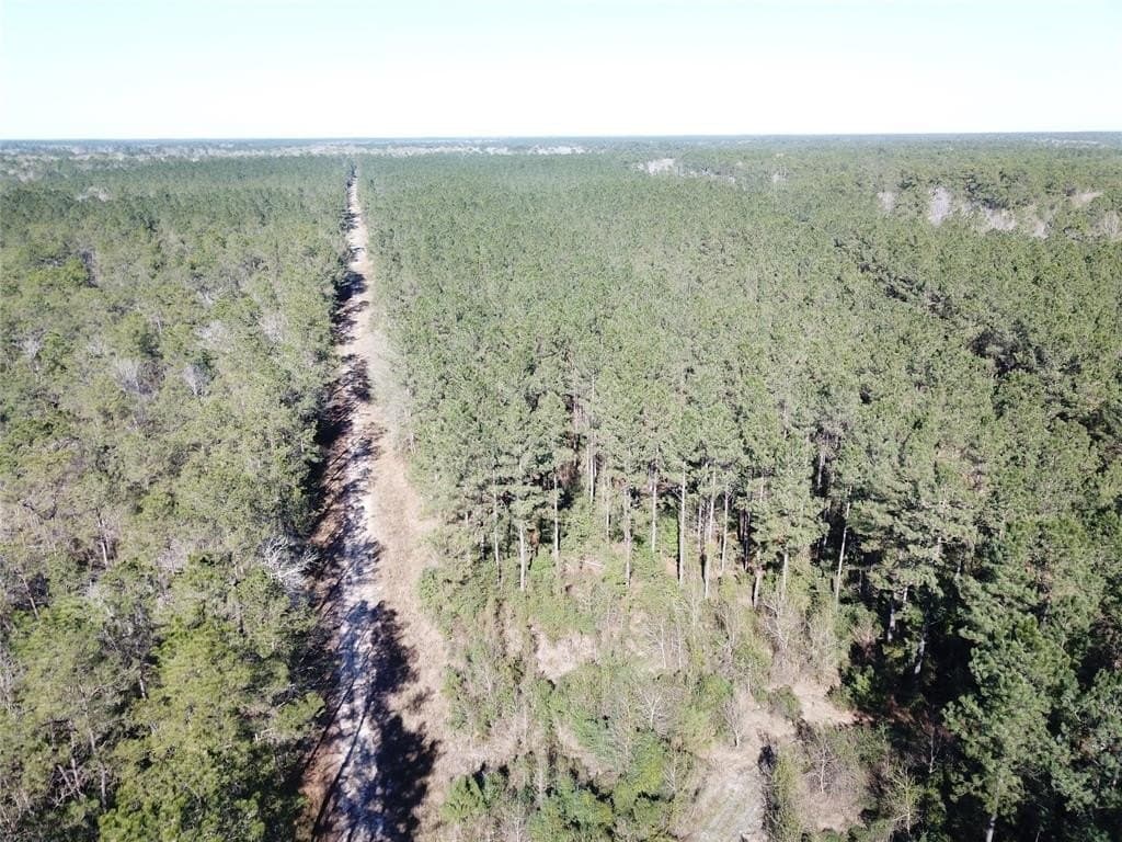 791 acres in Orange County - photo 28