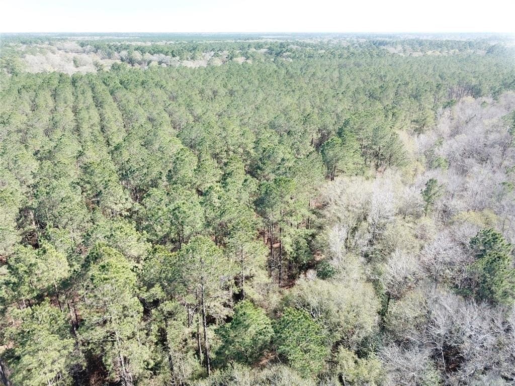 791 acres in Orange County - photo 16