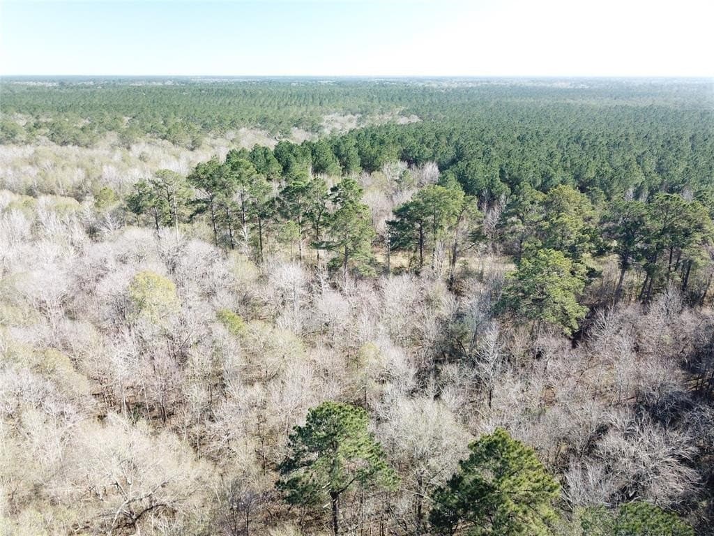 791 acres in Orange County - photo 12