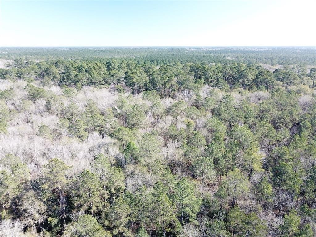 791 acres in Orange County - photo 7