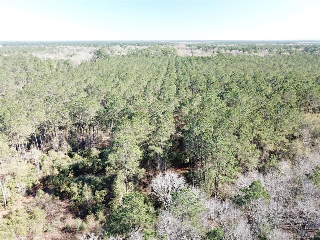 791 acres in Orange County - photo 14