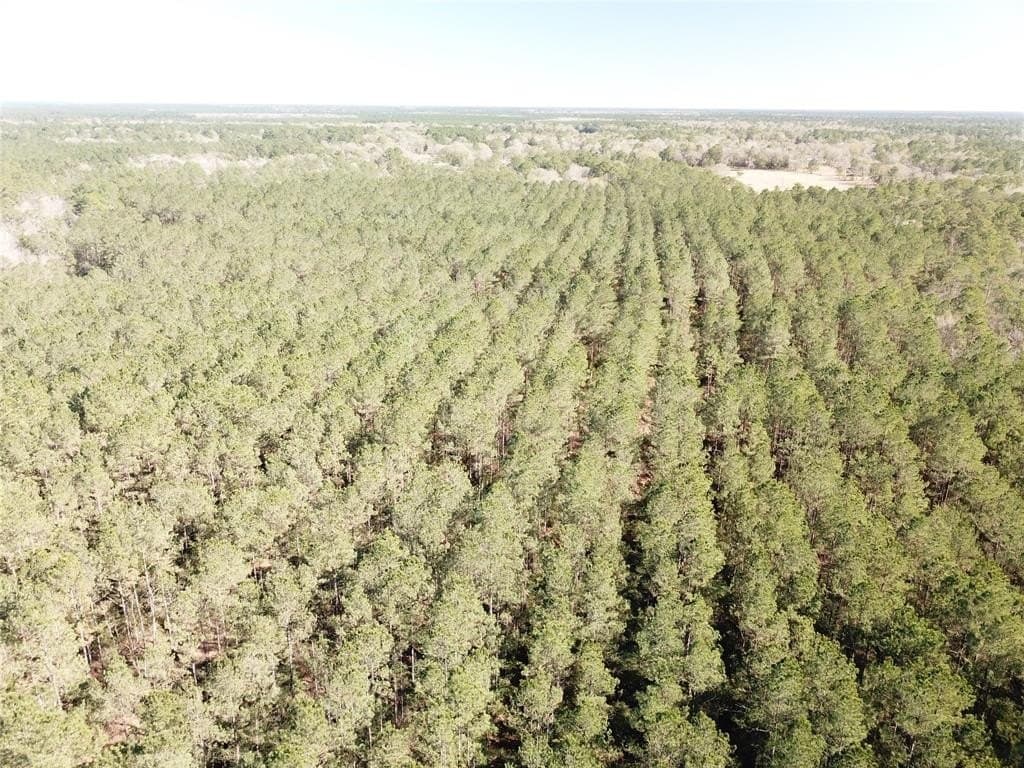 791 acres in Orange County - photo 30