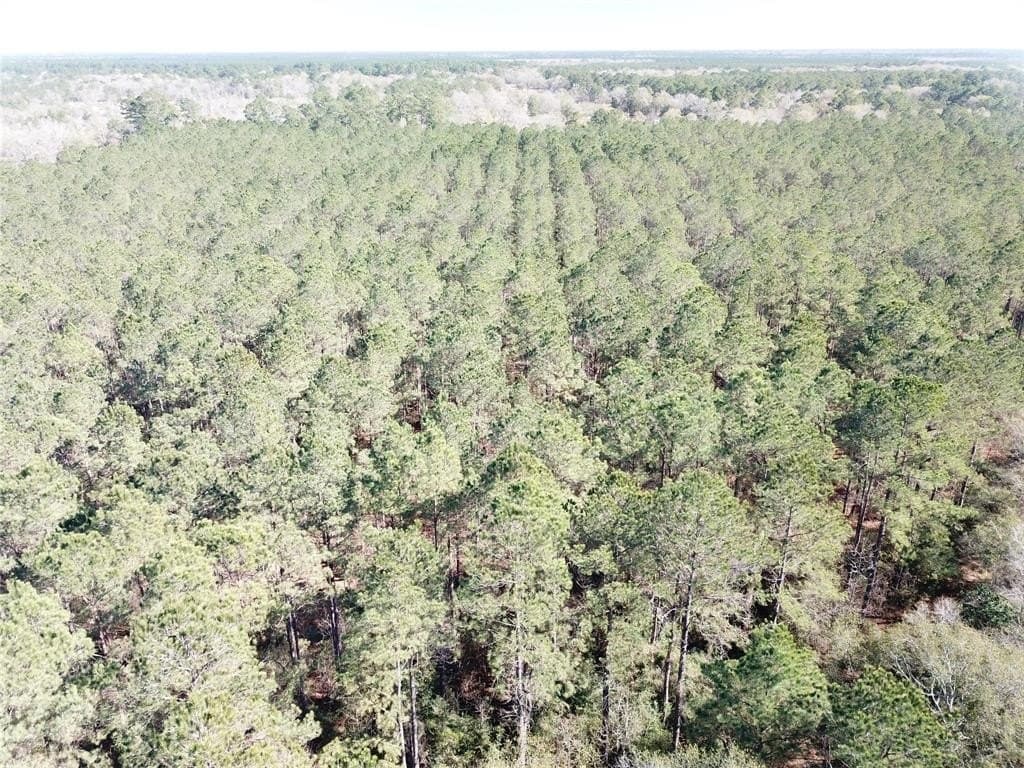791 acres in Orange County - photo 15