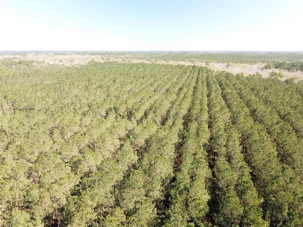 791 acres in Orange County - photo 5