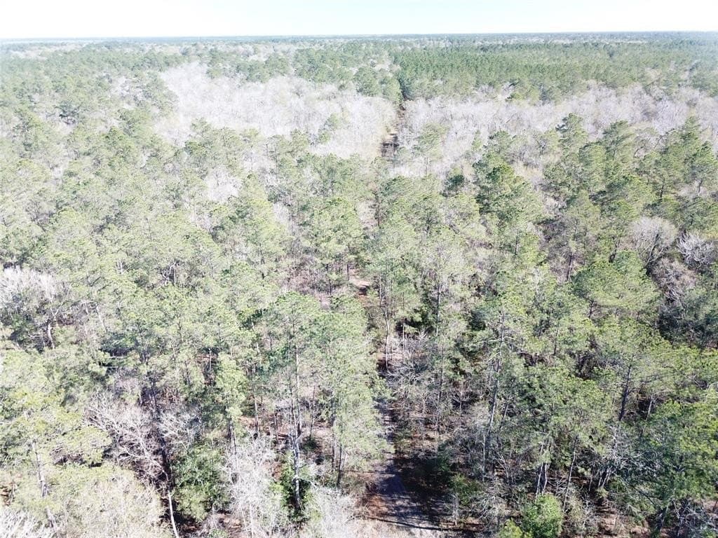 791 acres in Orange County - photo 22