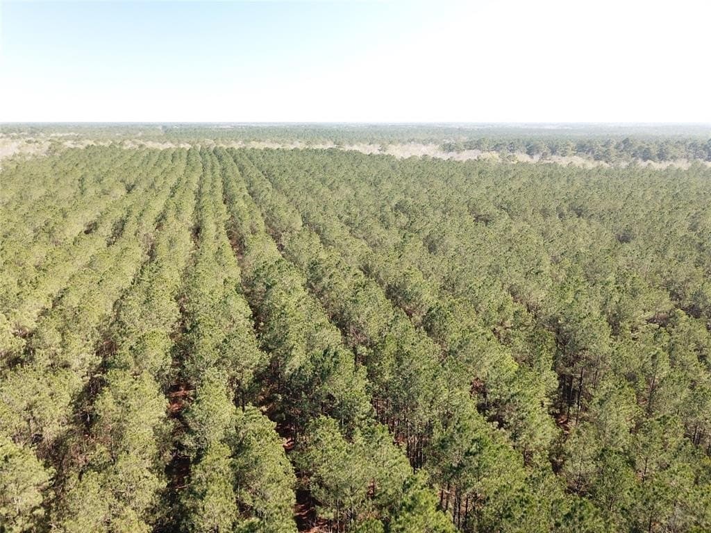 791 acres in Orange County - photo 4