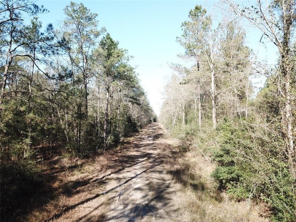 791 acres in Orange County - photo 31