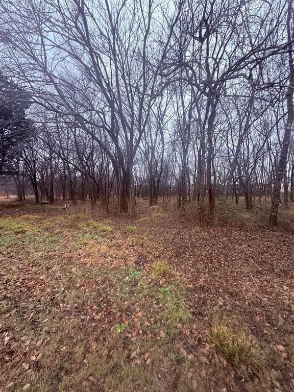 9.41 acres in Collin County - photo 16