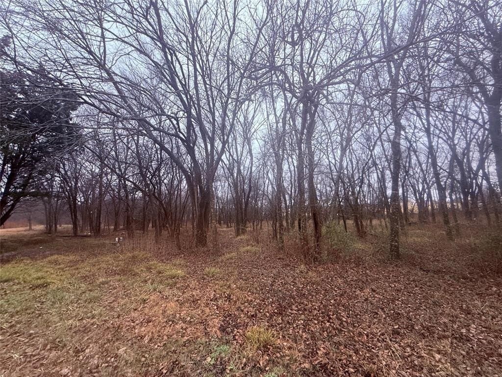 9.41 acres in Collin County - photo 15