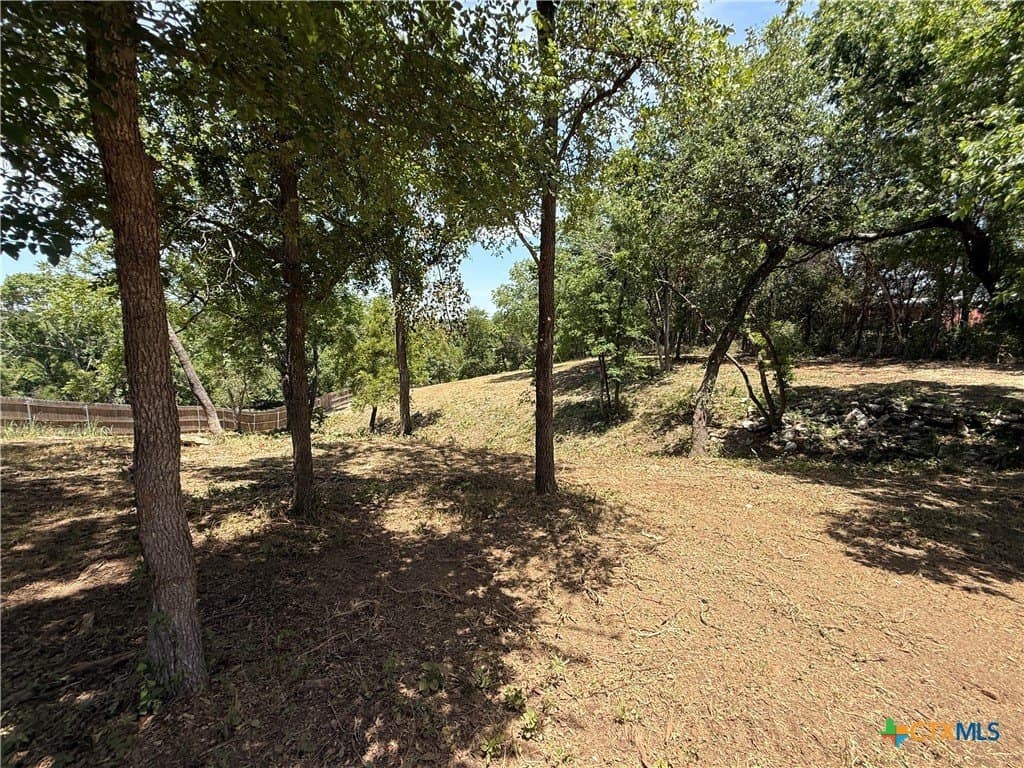 1.45 acres in Bell County - photo 12