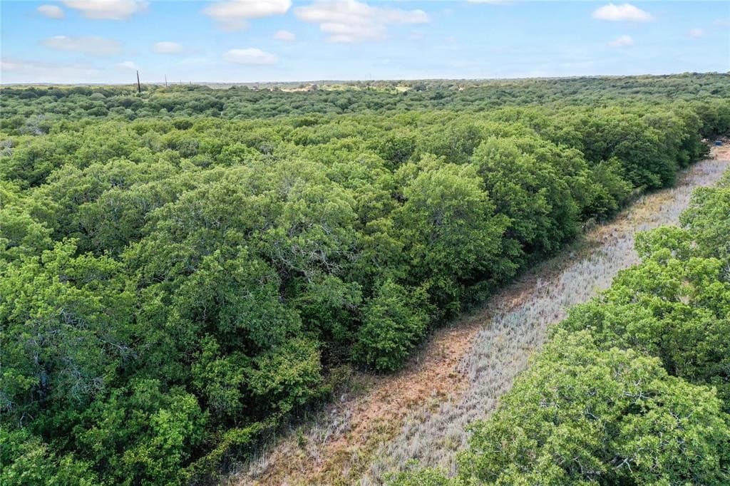 31.25 acres in Jack County - photo 13
