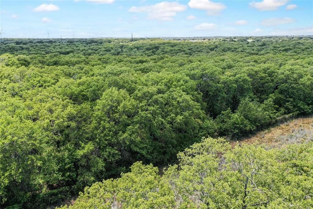 31.25 acres in Jack County - photo 5