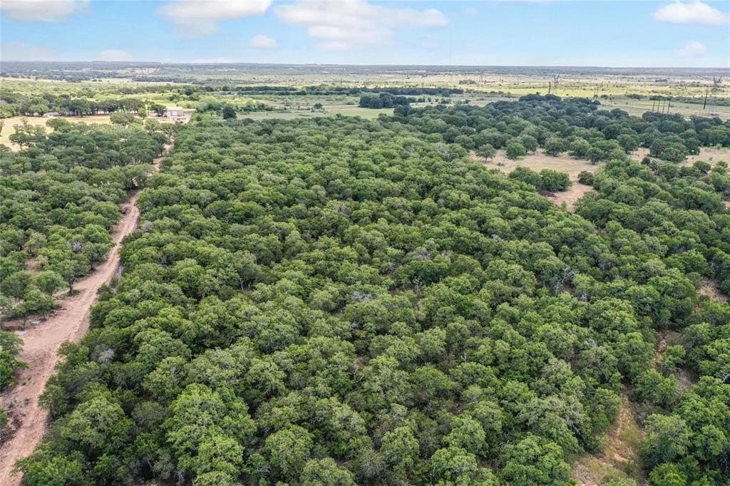 31.25 acres in Jack County - photo 10