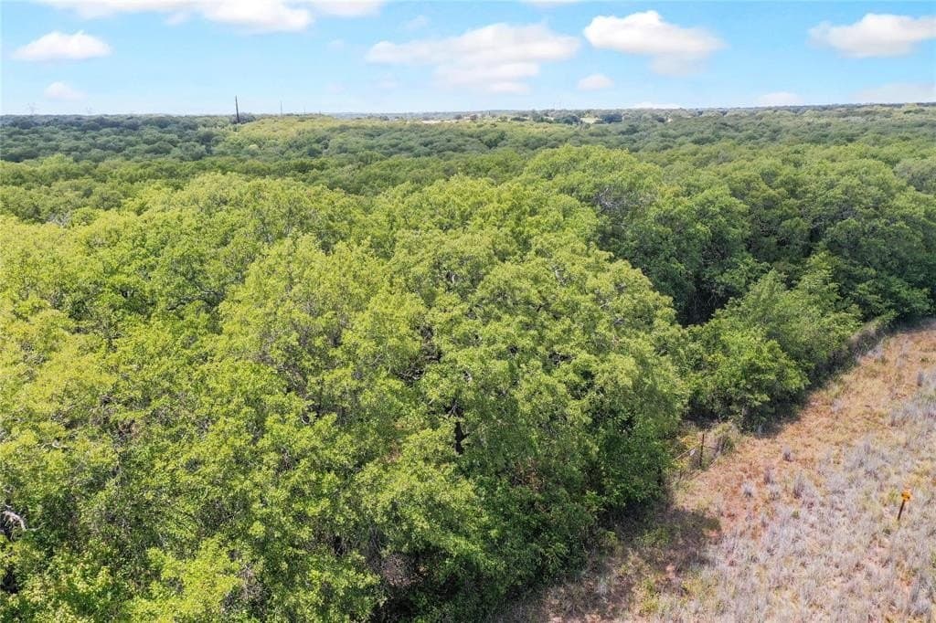 31.25 acres in Jack County - photo 6
