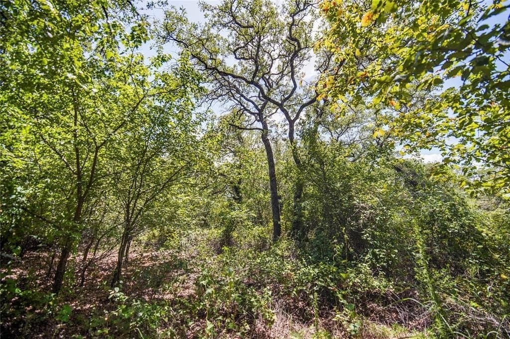 31.25 acres in Jack County - photo 19