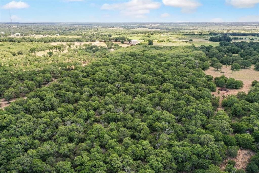 31.25 acres in Jack County - photo 9