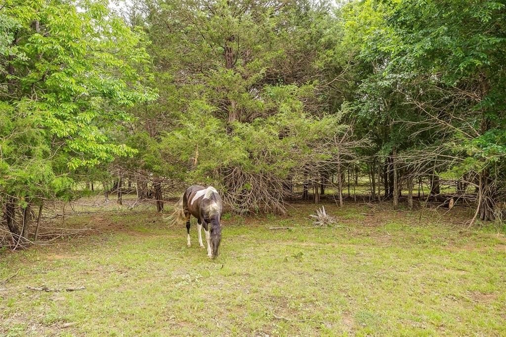 3.21 acres in Johnson County - photo 16