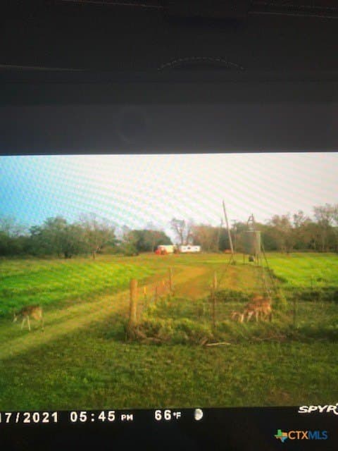 343.24 acres in Victoria County - photo 43