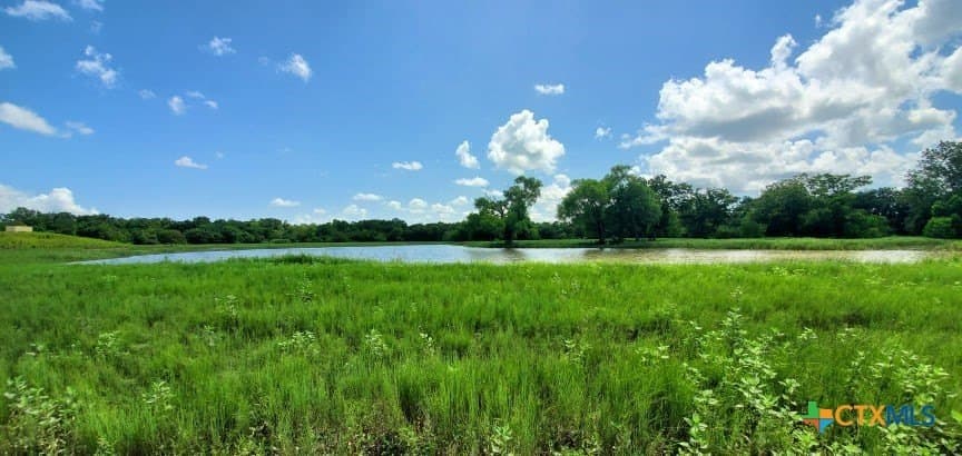 343.24 acres in Victoria County - photo 23