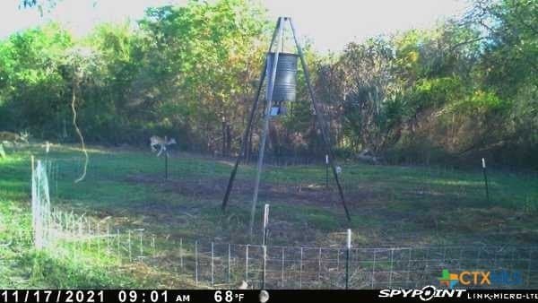 343.24 acres in Victoria County - photo 38
