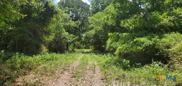 343.24 acres in Victoria County - photo 19