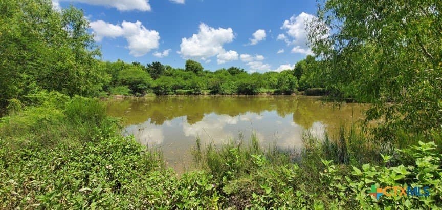 343.24 acres in Victoria County - photo 22