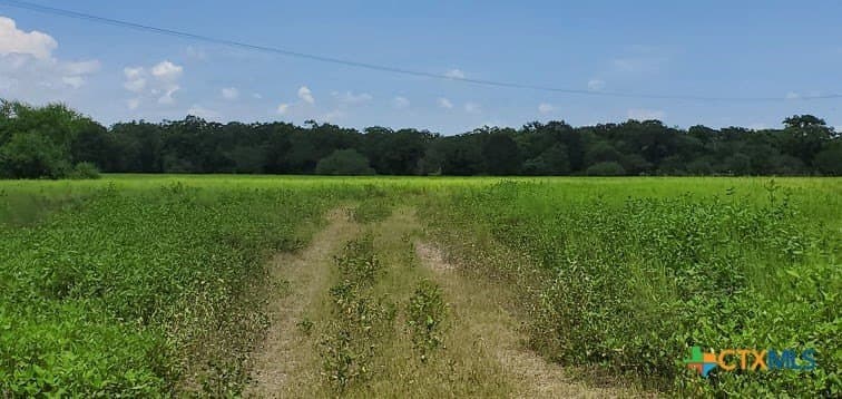 343.24 acres in Victoria County - photo 21