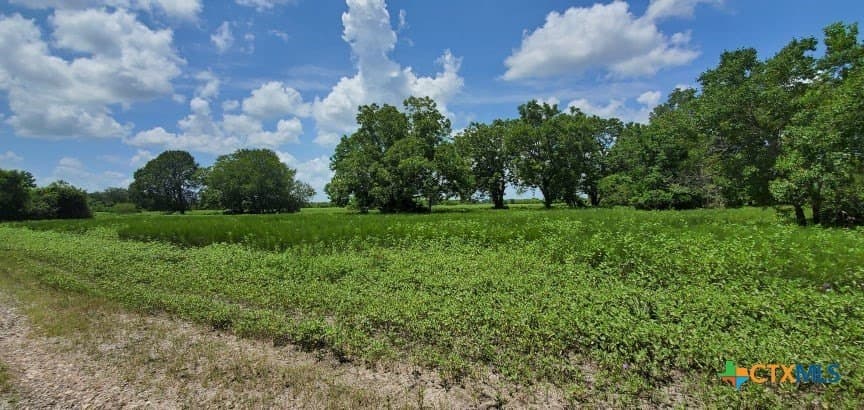 343.24 acres in Victoria County - photo 16