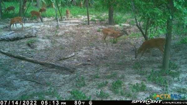 343.24 acres in Victoria County - photo 46