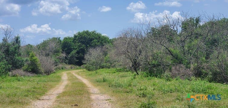 343.24 acres in Victoria County - photo 25