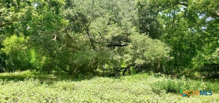 343.24 acres in Victoria County - photo 17