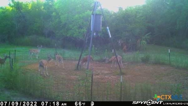 343.24 acres in Victoria County - photo 47