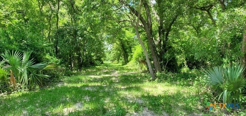 343.24 acres in Victoria County - photo 15