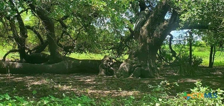 343.24 acres in Victoria County - photo 28