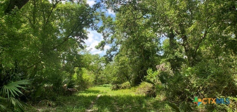 343.24 acres in Victoria County - photo 26
