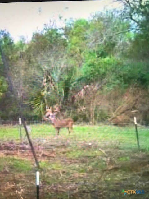 343.24 acres in Victoria County - photo 42