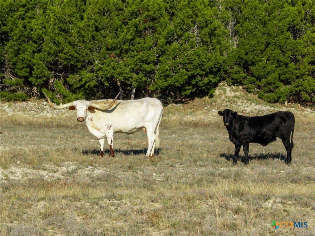 34.5 acres in Lampasas County - photo 33
