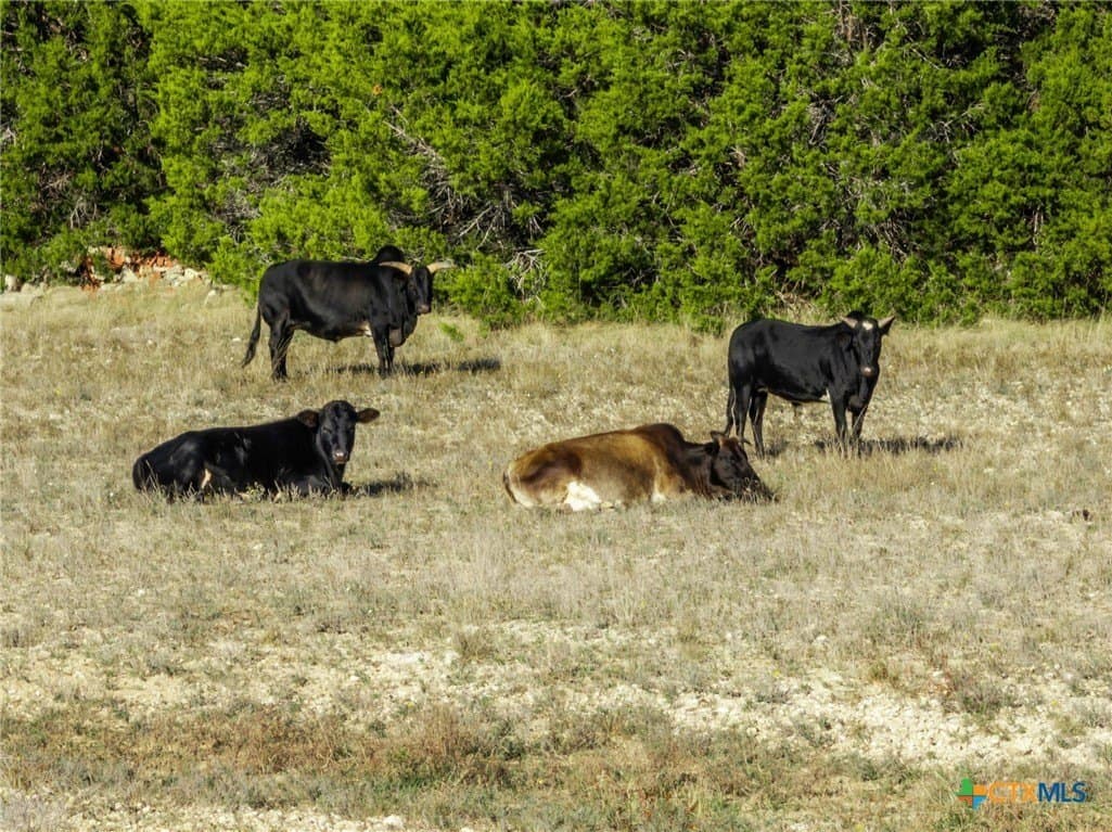 34.5 acres in Lampasas County - photo 34