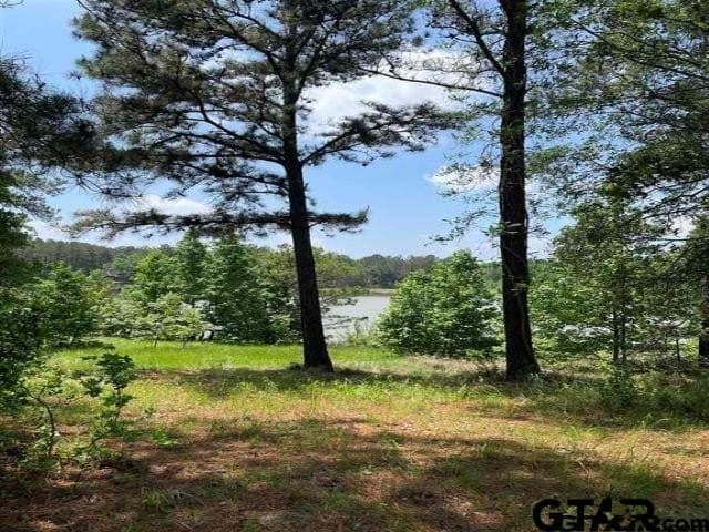 1.15 acres in Anderson County - photo 3