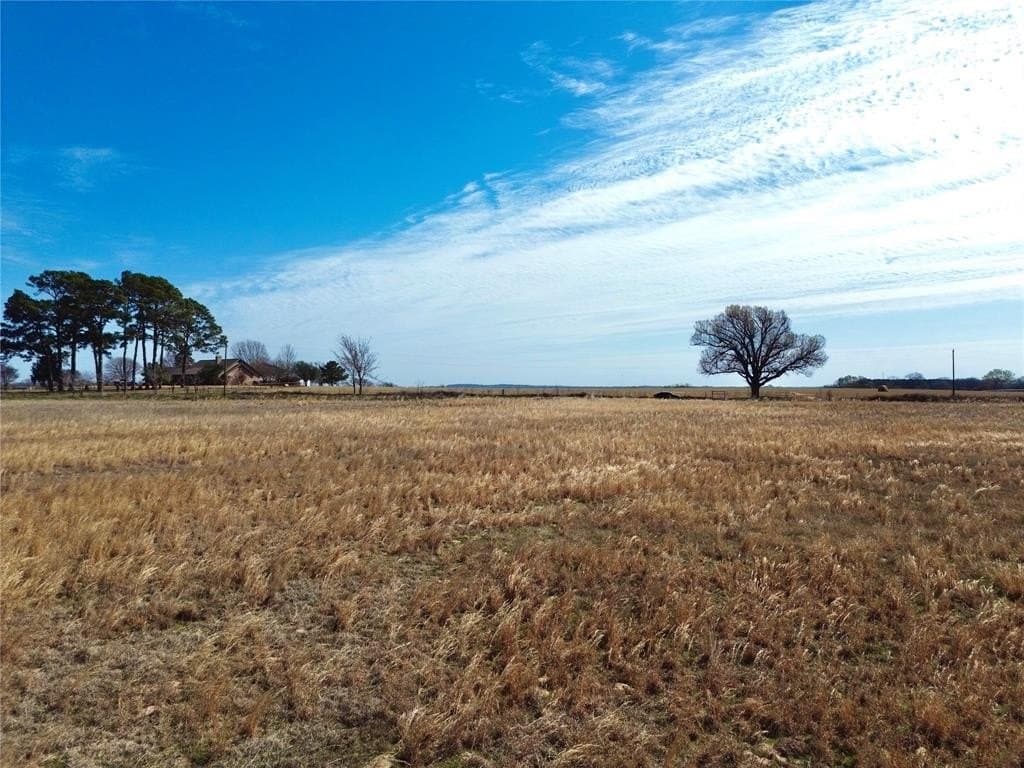 5 acres in Henderson County - photo 4
