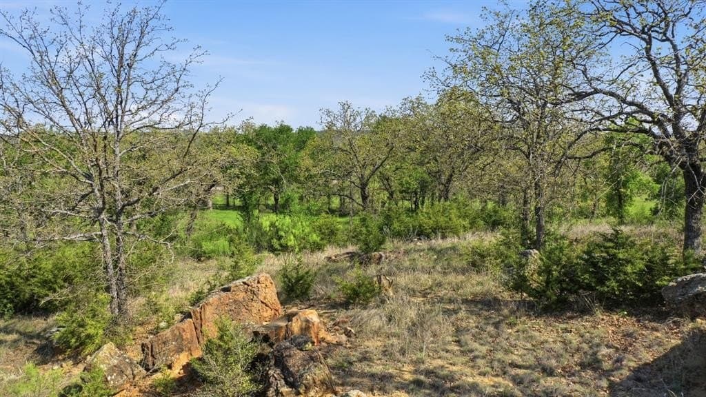 5 acres in Palo Pinto County - photo 7