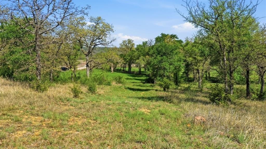 5 acres in Palo Pinto County - photo 4