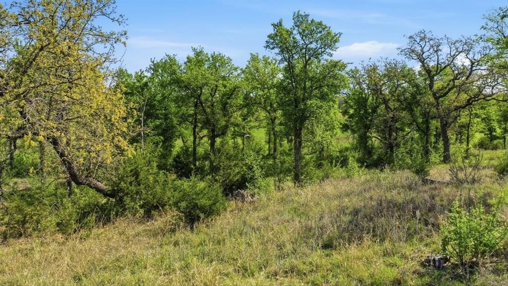 5 acres in Palo Pinto County - photo 16