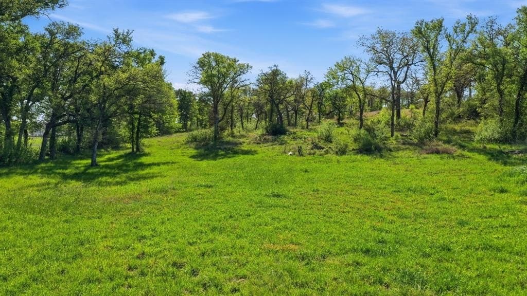5 acres in Palo Pinto County - photo 6