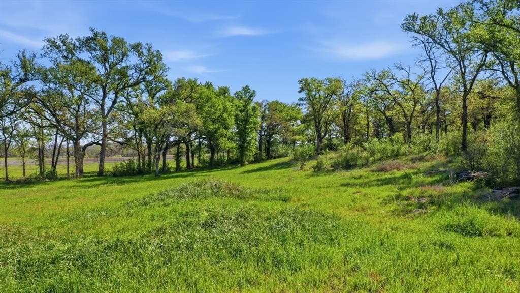 5 acres in Palo Pinto County - photo 3