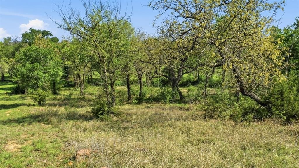 5 acres in Palo Pinto County - photo 17