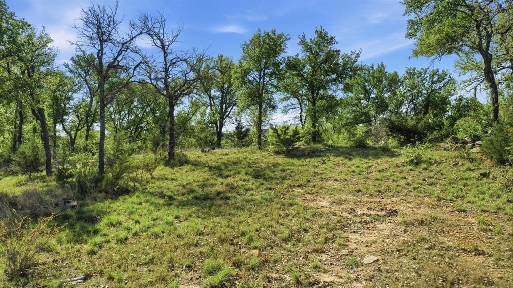 5 acres in Palo Pinto County - photo 15