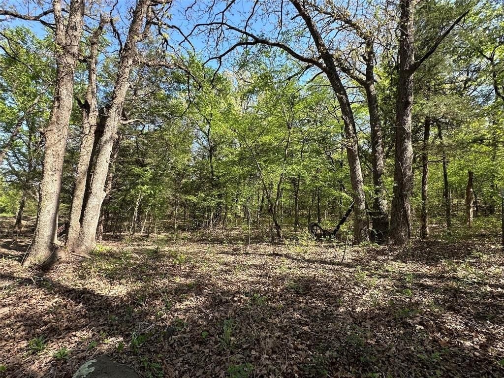 1.25 acres in Cooke County - photo 7
