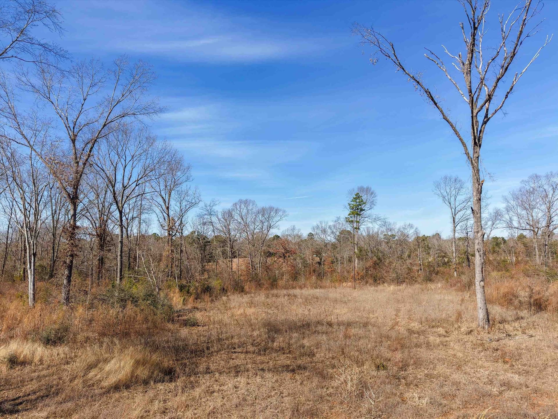 17.08 acres in Upshur County - photo 12