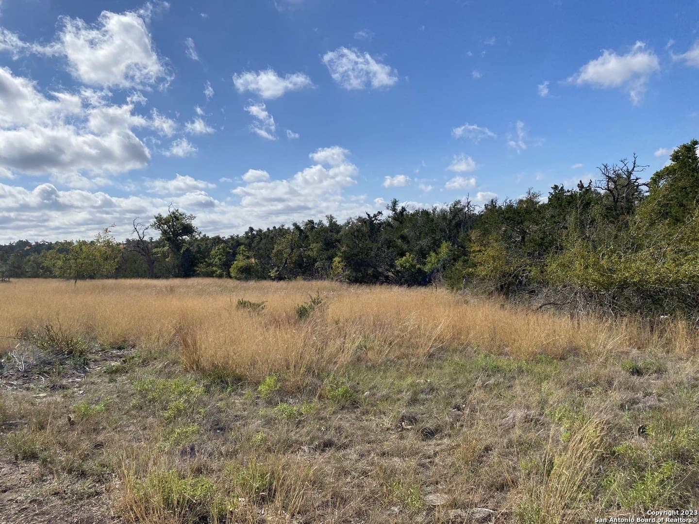 31.63 acres in Gillespie County - photo 6